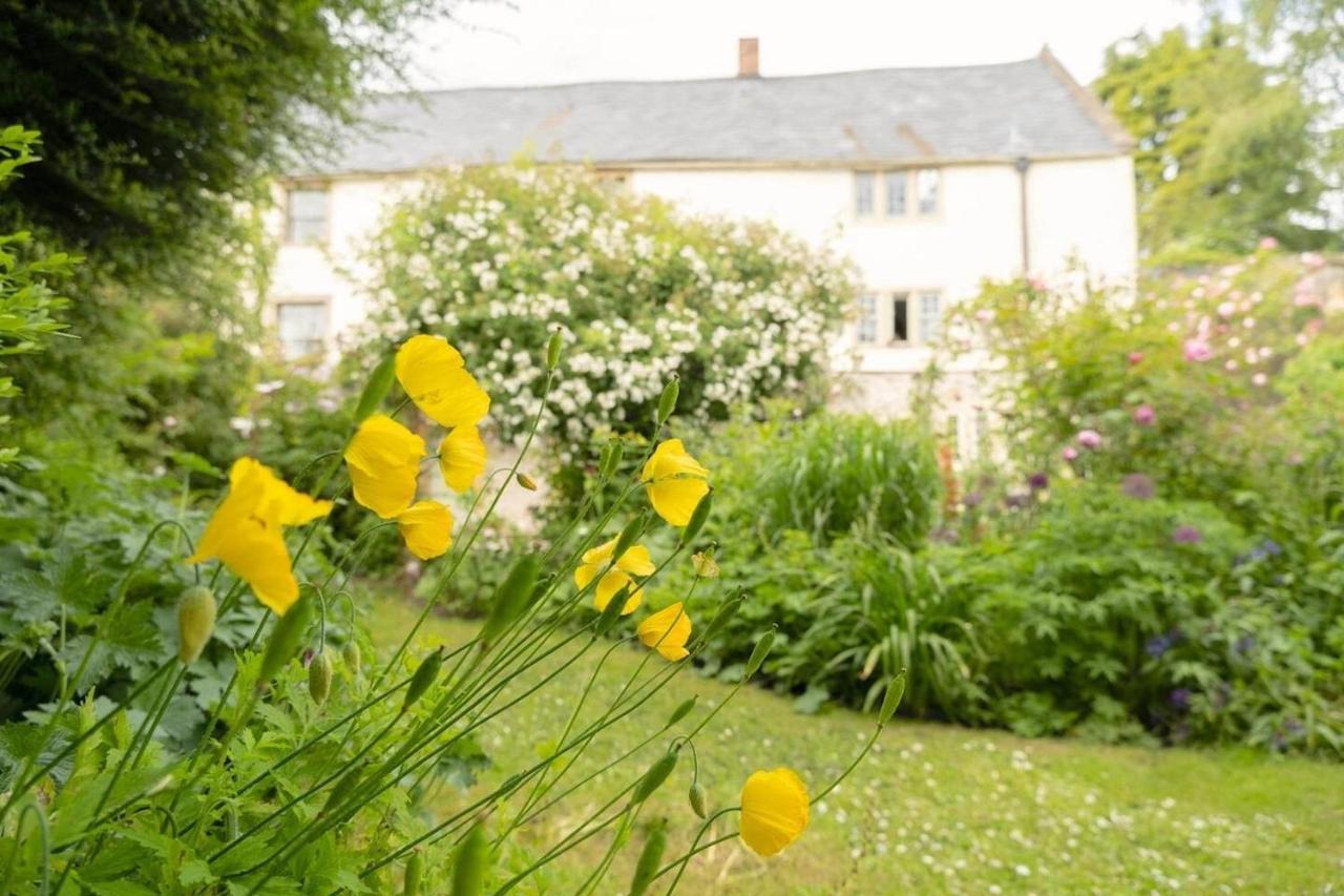 Lovely Property In The Heart Of Somerset, Sleeps 9 شيبتون ماليت المظهر الخارجي الصورة
